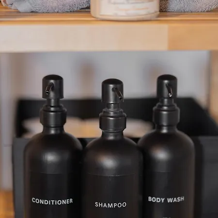 Center Duplex Loft Colmar