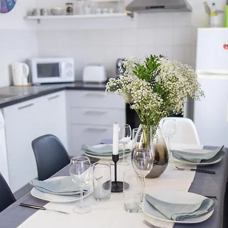Center Duplex Loft Lejlighed Colmar